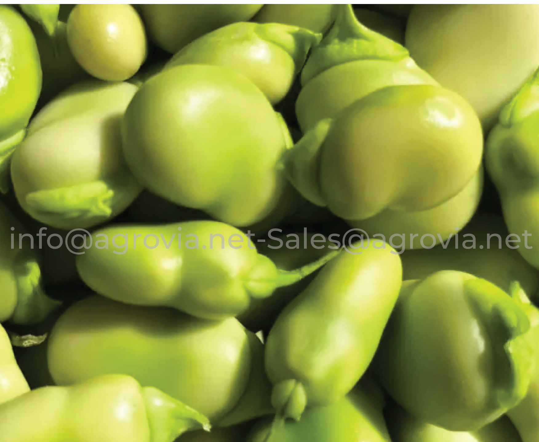 Agrovia