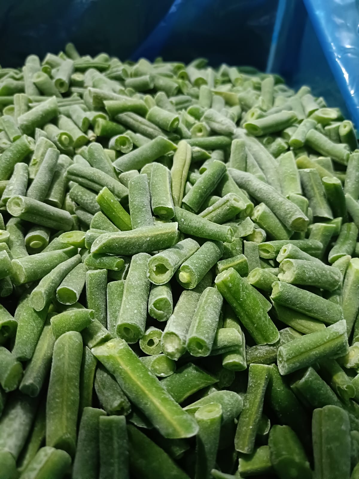 Agrovia
