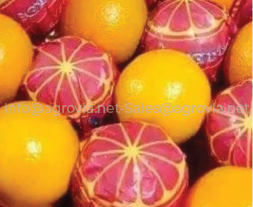 Agrovia