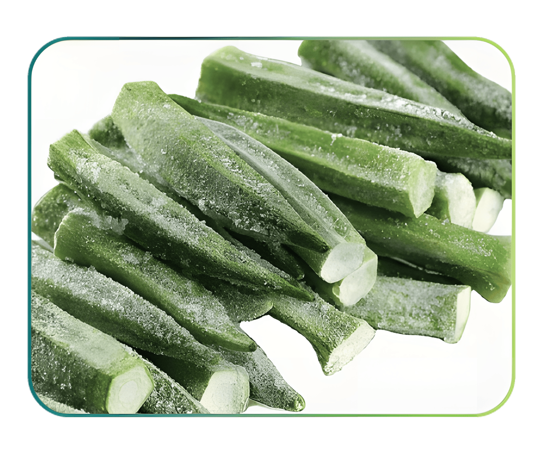 Okra